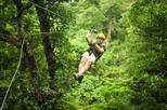 Sarapiqui River Cruise and Zipline Canopy Tour from San Jose