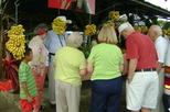 Shore Excursion: Limon Highlights Tour