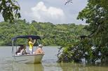 Panama Canal and Gatun Lake Wildlife and Rain Forest Boat Tour