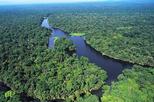 Tortuguero Costa Rica National Park One Day Guided Tour