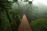 Monteverde Cloud Forest Private Full-Day Trip with Admission