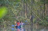 Platanares WR Mangrove Exploration by kayak