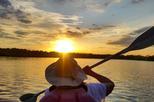 Sunset and Dolphins Kayak Tour