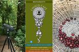 Private Cloud Forest, Lunch, and Group Coffee Tour Combo