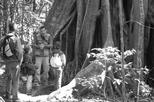 Small Group Cloud Forest Walk