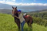 Horseback Riding Tour at Mistico Hanging Bridges Park