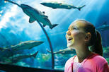 SeaWorld® Orlando Ticket
