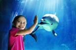 SeaWorld® San Diego