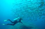 Two-Tank Dive at Caño Island