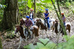 Horseback riding and cultural Maleku Indigenous Reserve in Arenal La Fortuna