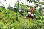 Canopy Zipline Tour with Superman Flight