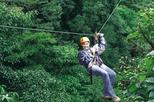 Monteverde Cloud Forest Zipline and Hanging Bridges Tour