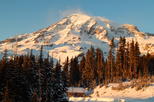 Mt. Rainier Volcano Guided Full-Day Nature Tour from Seattle