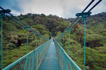 Selvatura Park Hanging Bridge Canopy Tour in Monteverde