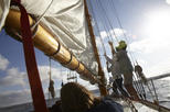 Classic Sailboat Harbor Morning Cruise