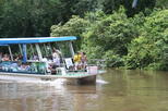Full-Day Caño Negro Wildlife Refuge Boat Tour