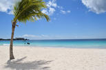 Barbados Shore Excursion: Barbados Beach Day