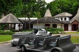Harrison's Cave Tour in Barbados
