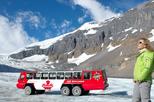 Banff to Athabasca Glacier Full-Day Ice Explorer Tour