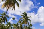 Bahamas East End and Lucayan National Park Tour