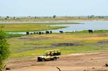 Chobe National Park Game Drive