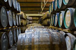 Booze and Brews Walking Tours