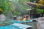 Arenal 1968 Park Hiking Tour with Hot Springs