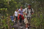 Full Day Combo Tour Best of Arenal Including: Hanging Bridges, La Fortuna Waterfall, Volcano Hike and Hot Springs