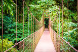 Hanging Bridges Walking Tour in Arenal
