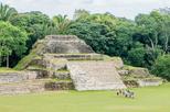 Altun Ha Half-Day Tour