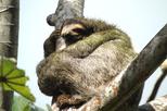 San Lorenzo Fort, Panama Canal, Rainforest: Full-Day Tour