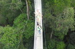 Full Day Temburong National Park Nature Escapade