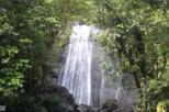 El Yunque Rainforest Half-Day Trip from San Juan