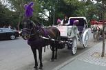 Central Park Horse Carriage Ride with Historical Landmarks
