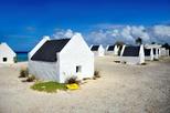 3-Hour Island Sightseeing Tour of Bonaire