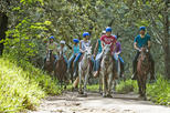 HORSEBACK RIDING