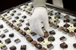 Brussels Chocolate Walking Tour and Workshop