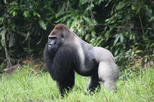 Mefou National Park
