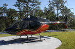 Orlando Helicopter Tour from Walt Disney World Resort Area