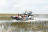 Florida Everglades Airboat and Wildlife from Fort Lauderdale