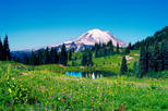Mt. Rainier National Park Full-Day Tour from Seattle