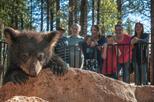 Bearizona Drive-Thru Wildlife Park