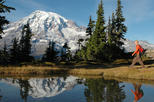Mt Rainier Small-Group Tour with Lunch