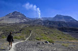 Small-Group Full-Day Tour of Mount St Helens Volcano from Seattle