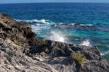 Half-Day St George's Sightseeing Tour