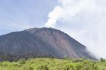 Pacaya Volcano Day Trip from Guatemala City