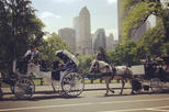 Central Park Horse Carriage Ride with Tavern on the Green Meal