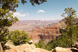 Grand Canyon South Rim Tour from Vegas with Helicopter Option