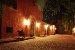 Mendoza Wine Tasting Evening Tour with Dinner
