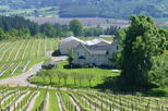 Willamette Valley Wine-Tasting Tour from Portland